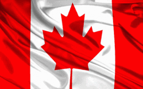 an image of a canadian flag with the canadian star on it