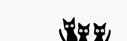 a group of three black cats standing in front of a wall