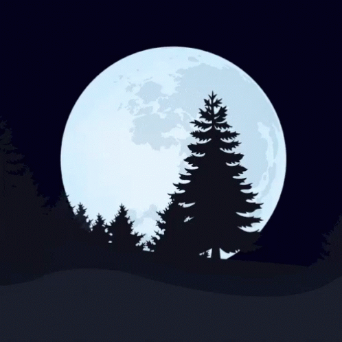 a night scene with the moon and trees
