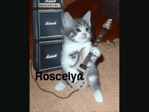 a cat plays with an electric guitar that reads roselynn