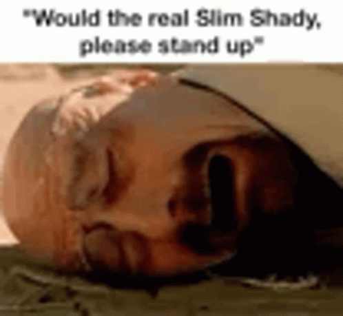 an image of a man lying down with the caption, would the real slim shady please stand up?