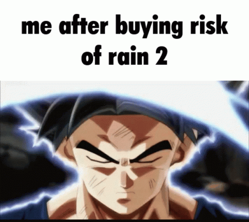 the text reads me after buying risk of rain 2