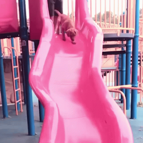 a dog that is playing on the slide