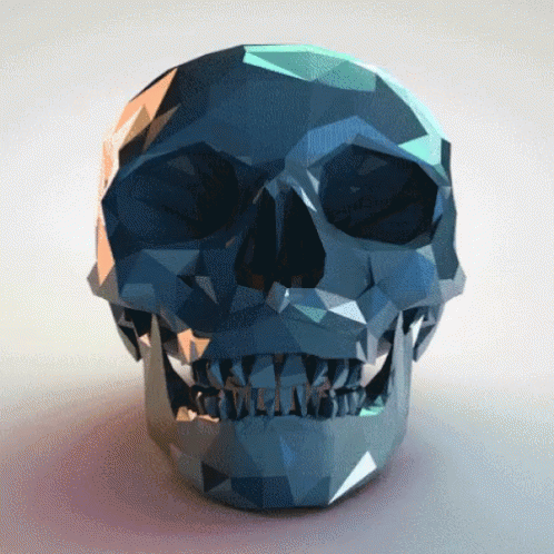 this is a skull that has been made of polygonic