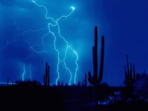 lightning striking above a cactus tree filled with cacti