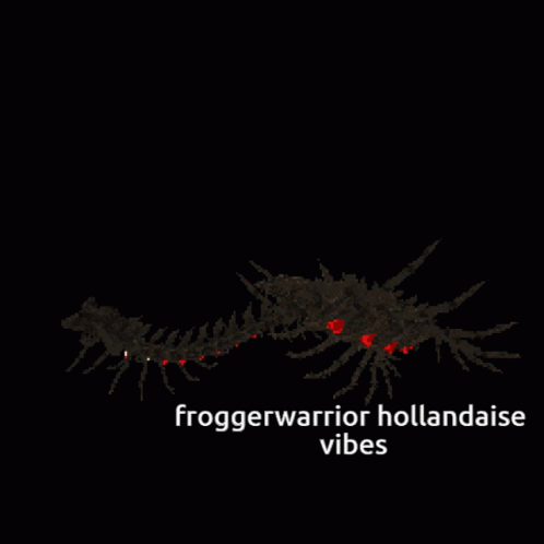 the text froggerwarrior hollandaise vibes against a black background