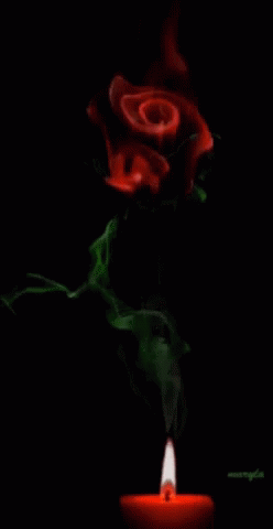 a candle lit with smoke and a rose