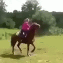 a blurry image of a horse and rider