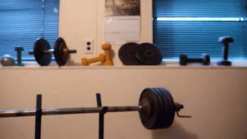 a wall with bars and dumbbells sitting in front of a window