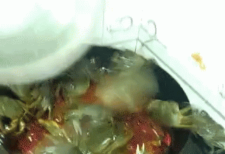 some plastic bag sit inside a washing machine