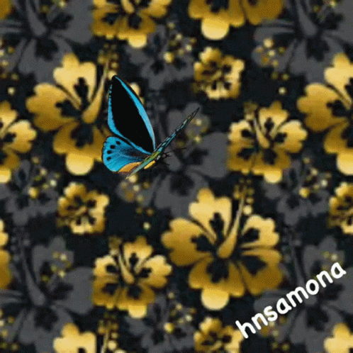 a erfly on a flower pattern in blue and gray