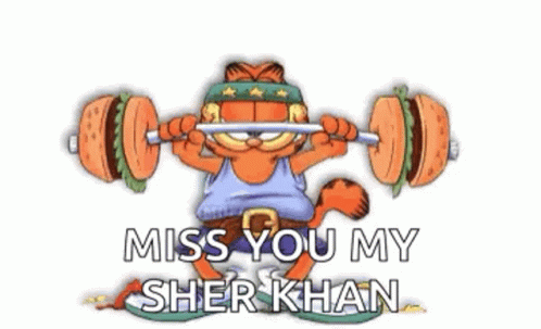 a cartoon cat holding a barbell with the caption miss you my shef khan
