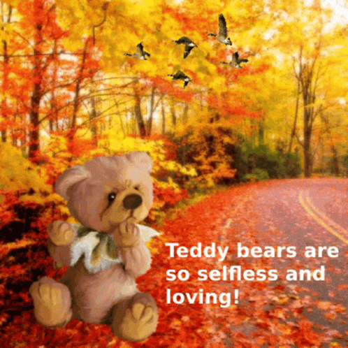 teddy bears are so selfish and loving