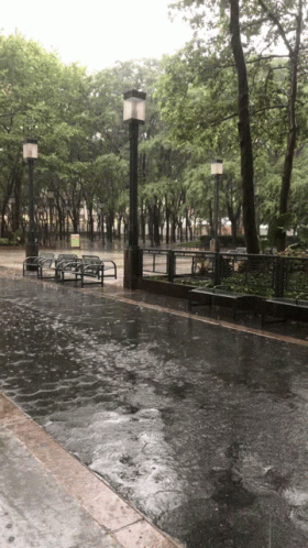 rain covers two benches and the ground next to trees