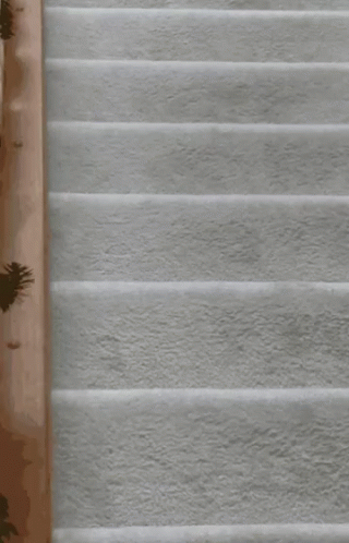 a cat sitting on some steps and staring straight at the camera