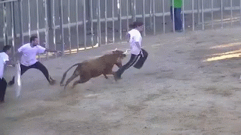 a man is trying to stop an animal from attacking