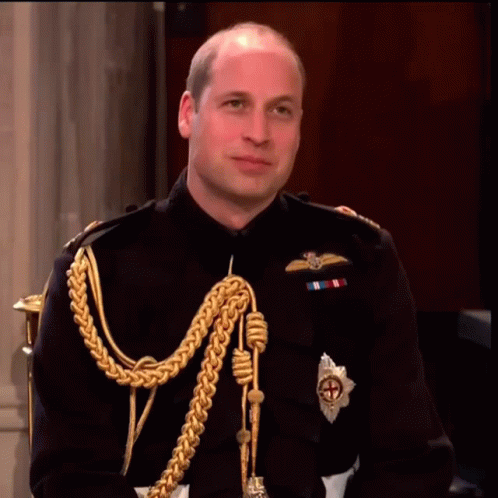 a man wearing a royal uniform posing for a po