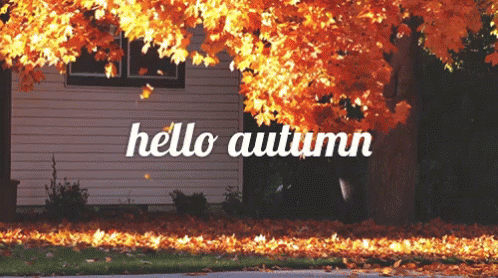 a red and blue tree has the words hello autumn written underneath