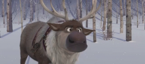 a rudolph standing in a snowy wooded area