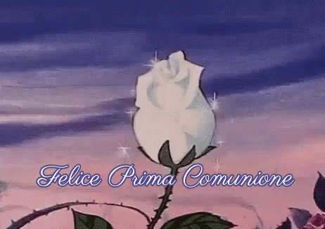 a picture of a white flower with the words felice prima come on it