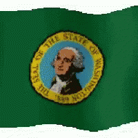 the flag of thomas washington on green with an image of an image of george washington