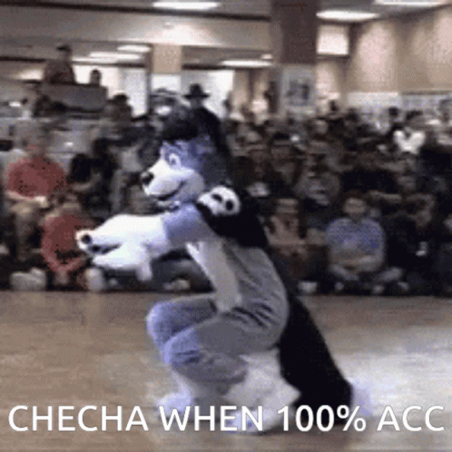 a dog dances on the floor while other audience watches