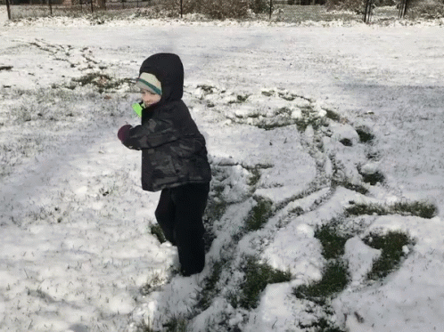 a little boy that is playing in the snow