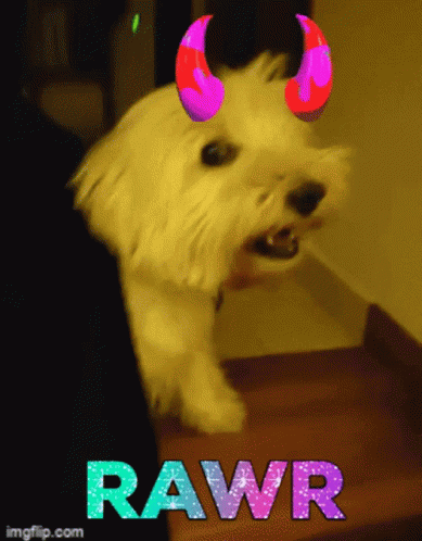 the dog is wearing horns and it has a name tag on its collar