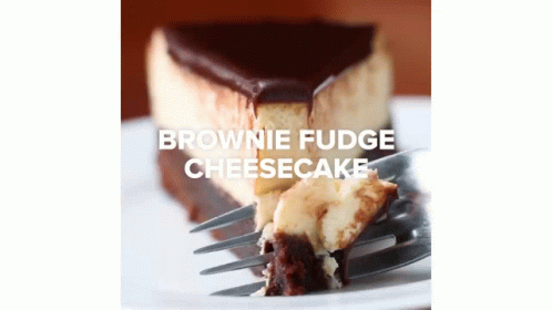 a fork with a piece of chocolate fudge cheesecake on it