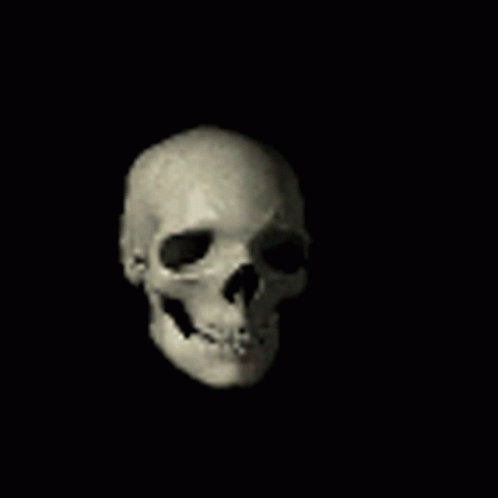 a human skull sits in the dark