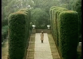a person walking on the side of a path