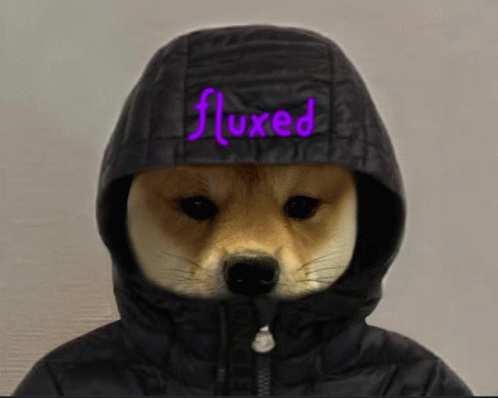 a dog is wearing a hat with words fluxed