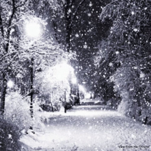a snowy path in a park at night with street lights and street lamps