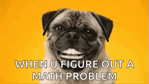 a picture of a dog with the words, when u figure out a math problem