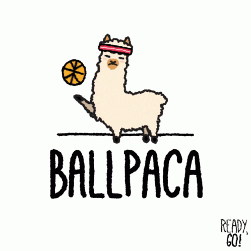 the llama is playing ball with its head