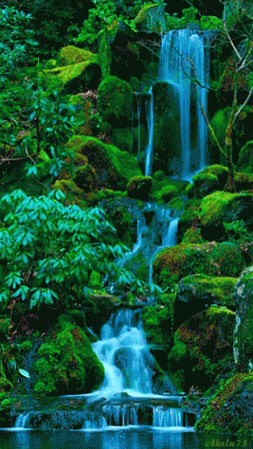 a waterfall filled with lots of greenery next to a forest