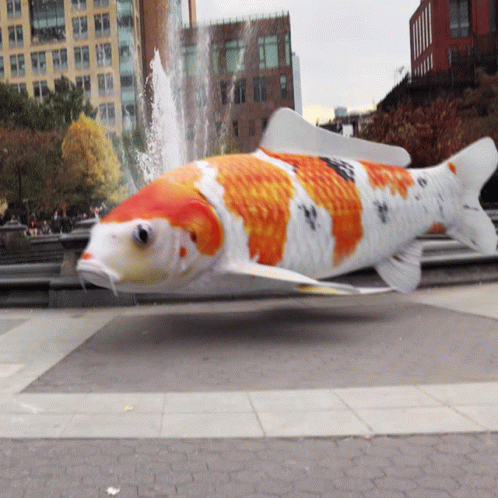 an artistic fish sculpture on display outside a building
