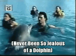 an animated po of people and a dolphin in the water