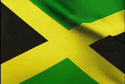 the flag of jamaica is shown in black and blue