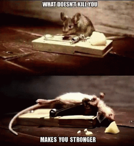 a rat that is on top of a computer mouse