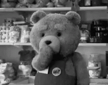 the stuffed bear is in the store's shelves