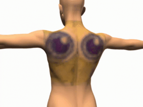 an artistic rendering of the back of a woman's torso