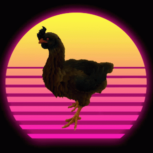 the black chicken stands next to a colorful striped background