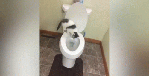 a toilet with a cat in it in a bathroom