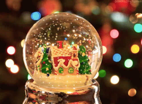 a snow globe with christmas tree and sleigh on top