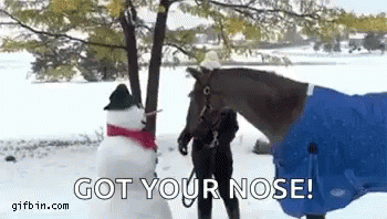 two people are outside in the snow with a horse