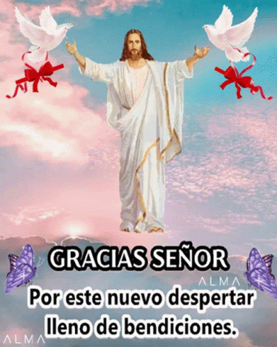 the statue of jesus in spanish with flying birds above it