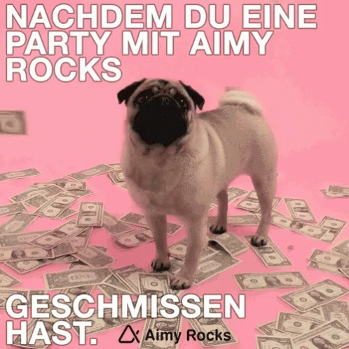a pug dog standing on top of a pile of money