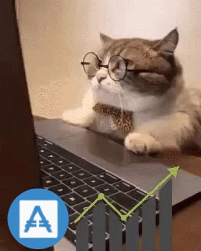 a cat with glasses on the computer keyboard