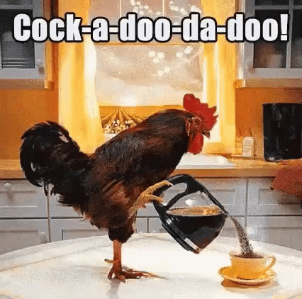 a rooster that is on top of a table drinking out of a jug